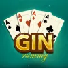 Gin Rummy  app icon