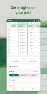 Microsoft Excel app screenshot 4