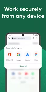 Island Enterprise Browser app screenshot 1