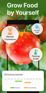 GrowIt app screenshot 1
