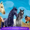 Latest Trends in Games Featuring Horse Riding Tales 