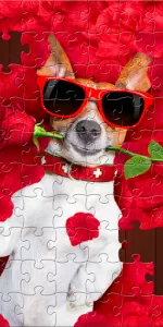 Jigsaw Puzzles Explorer app screenshot 20